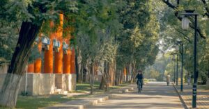 Read more about the article ICSP Scholarships at University of Oregon USA