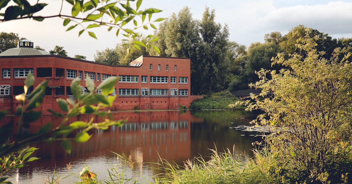 You are currently viewing University of Sussex Chancellor’s International Scholarships