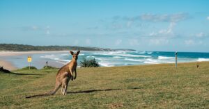 Read more about the article Australia Research Training Program (RTP) Scholarships