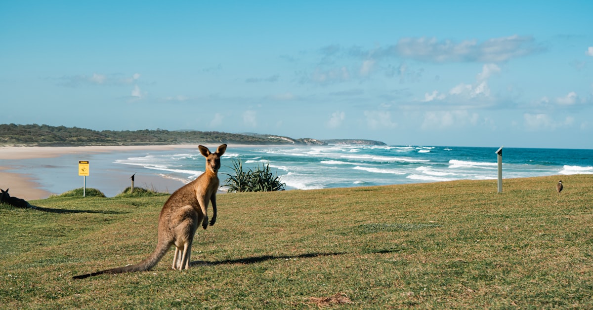 Read more about the article Australia Research Training Program (RTP) Scholarships