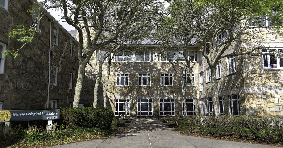 Read more about the article The Glenmore Medical Postgraduate Scholarship at the University of Edinburgh