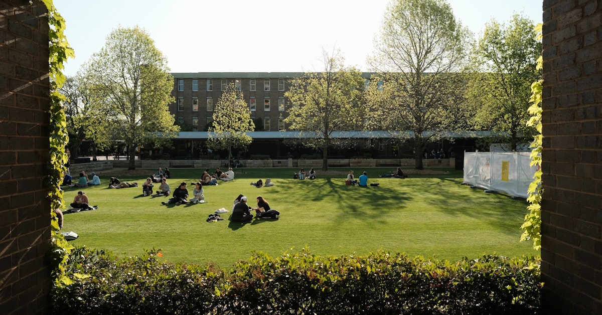 Read more about the article University of New South Wales International Scholarships