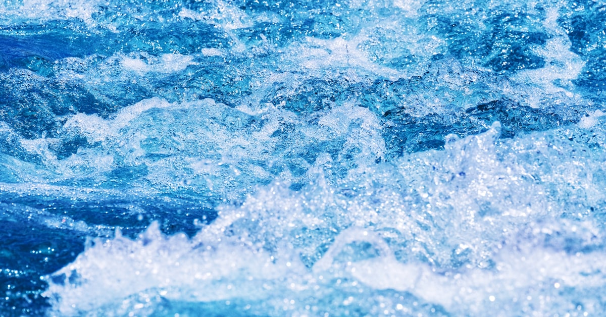 Read more about the article SIDS Scholarships in Water and Sustainable Development at IHE Delft