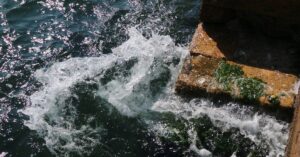 Read more about the article SIDS Scholarships in Water and Sustainable Development at IHE Delft