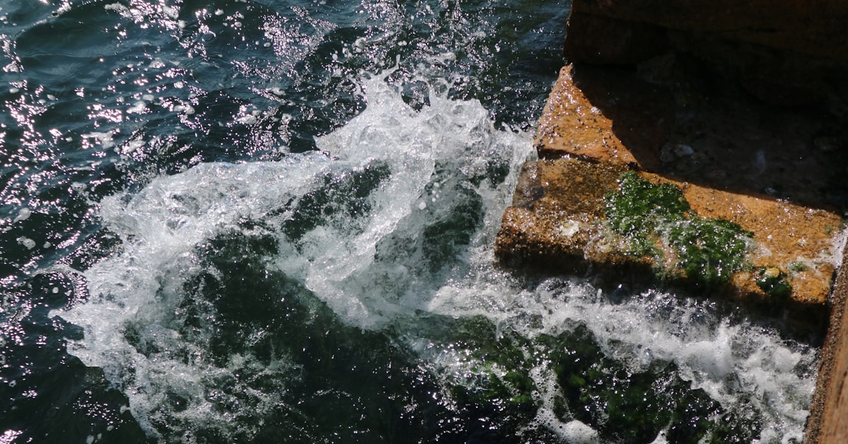 You are currently viewing SIDS Scholarships in Water and Sustainable Development at IHE Delft