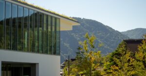 Read more about the article DAAD Helmut-Schmidt Masters Scholarships for Public Policy and Good Governance