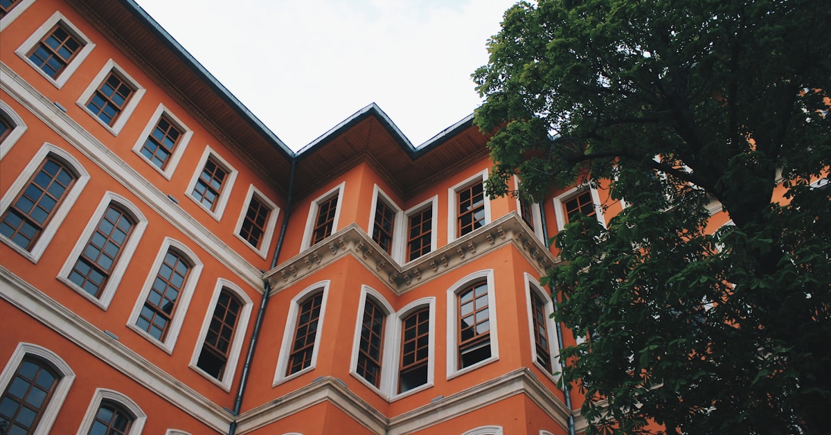 Read more about the article DAAD Helmut-Schmidt Masters Scholarships for Public Policy and Good Governance